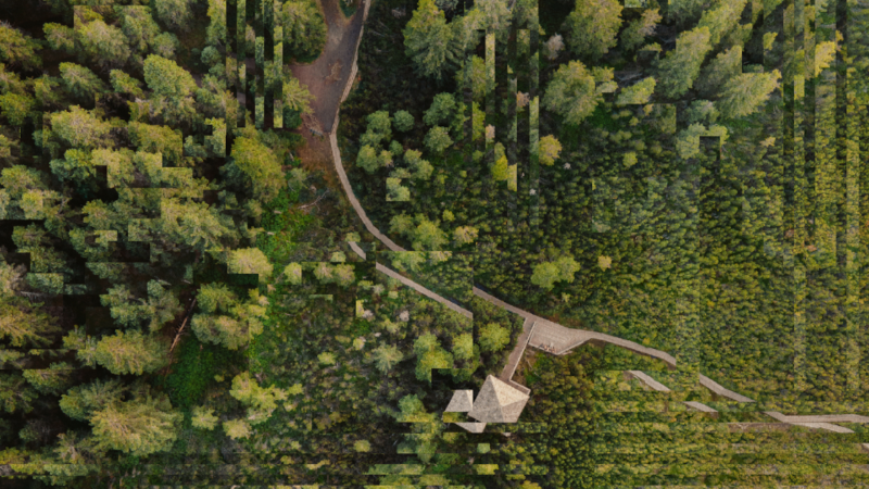 Distorted Forest Path © của Lone Thomasky & Bits&Bäume được cấp giấy phép CC BY 4.0
